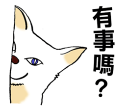 Funny Cat Stickers sticker #7424663