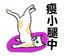 Funny Cat Stickers sticker #7424665