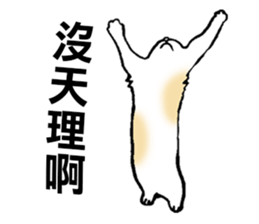 Funny Cat Stickers sticker #7424670