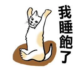 Funny Cat Stickers sticker #7424674