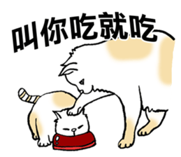 Funny Cat Stickers sticker #7424676