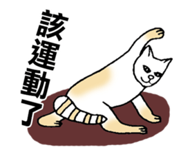 Funny Cat Stickers sticker #7424677