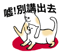 Funny Cat Stickers sticker #7424678