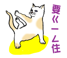 Funny Cat Stickers sticker #7424681