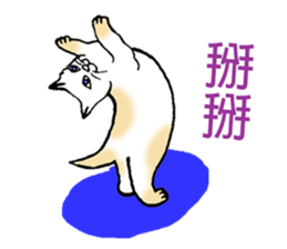 Funny Cat Stickers sticker #7424683