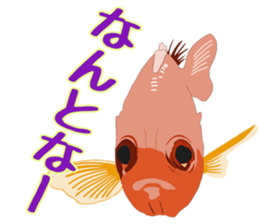 tajimaarea japan sticker #7428302