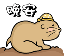 Hi,I am bubu. sticker #7428324