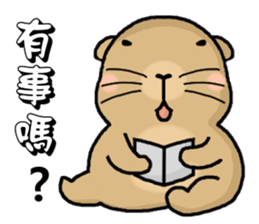 Hi,I am bubu. sticker #7428325