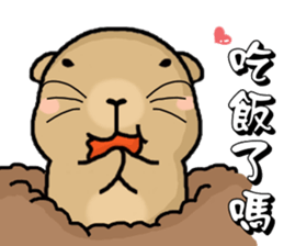 Hi,I am bubu. sticker #7428328