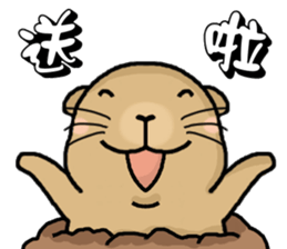 Hi,I am bubu. sticker #7428340