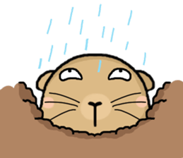 Hi,I am bubu. sticker #7428348