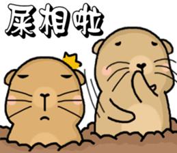 Hi,I am bubu. sticker #7428352