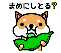 The dog born in Gifu. sticker #7429766
