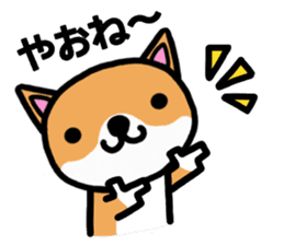 The dog born in Gifu. sticker #7429767