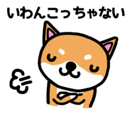 The dog born in Gifu. sticker #7429791