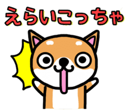 The dog born in Gifu. sticker #7429799