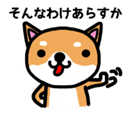 The dog born in Gifu. sticker #7429803