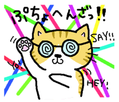 Funny glasses CATS sticker #7430631