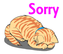 Brown tabby cat Mol sticker #7432049