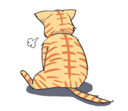Brown tabby cat Mol sticker #7432062