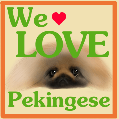 We Love Pekingese!! (English Version)