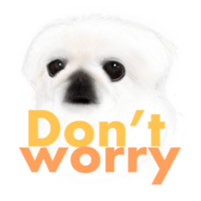 We Love Pekingese!! (English Version) sticker #7434153