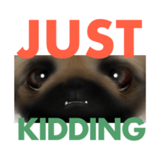 We Love Pekingese!! (English Version) sticker #7434160