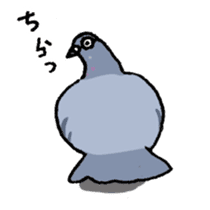 powerful Pigeon sticker #7434334
