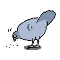 powerful Pigeon sticker #7434335