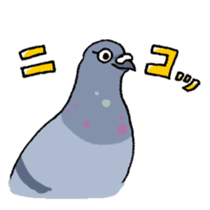 powerful Pigeon sticker #7434340
