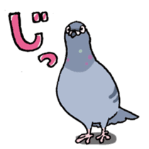 powerful Pigeon sticker #7434356
