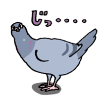 powerful Pigeon sticker #7434359
