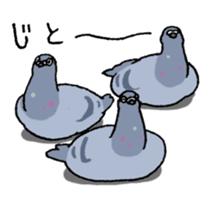 powerful Pigeon sticker #7434362