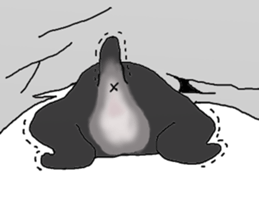 BLUE puppy of Schnauzer.[English ver.] sticker #7435140