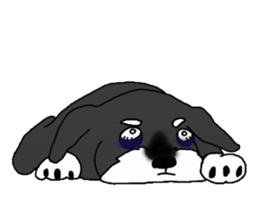 BLUE puppy of Schnauzer.[English ver.] sticker #7435144