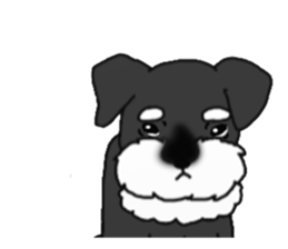 BLUE puppy of Schnauzer.[English ver.] sticker #7435154