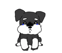 BLUE puppy of Schnauzer.[English ver.] sticker #7435156