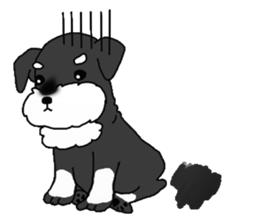 BLUE puppy of Schnauzer.[English ver.] sticker #7435157