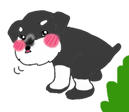 BLUE puppy of Schnauzer.[English ver.] sticker #7435162