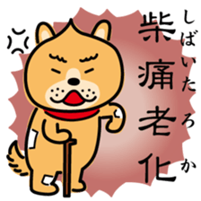 ChekeRaccho33 Kanzi sticker #7436806