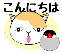 Message from dog cat bird sticker #7437093