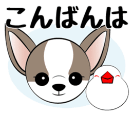 Message from dog cat bird sticker #7437094