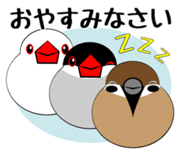 Message from dog cat bird sticker #7437095