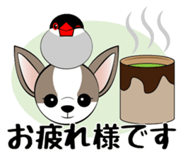 Message from dog cat bird sticker #7437098