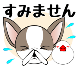 Message from dog cat bird sticker #7437102