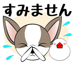 Message from dog cat bird sticker #7437102