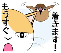 Message from dog cat bird sticker #7437107