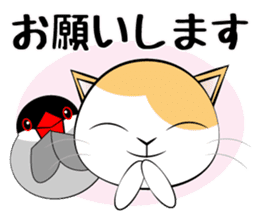 Message from dog cat bird sticker #7437112