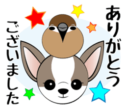 Message from dog cat bird sticker #7437113