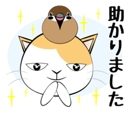 Message from dog cat bird sticker #7437114